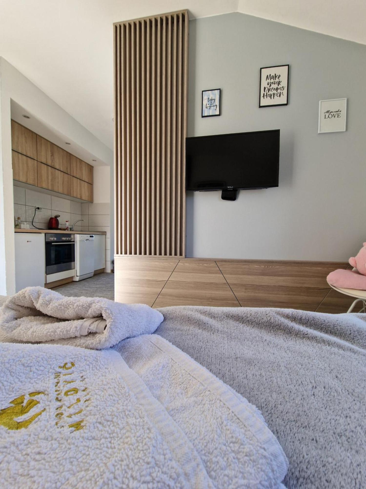 Milovic Apartment Trebinje