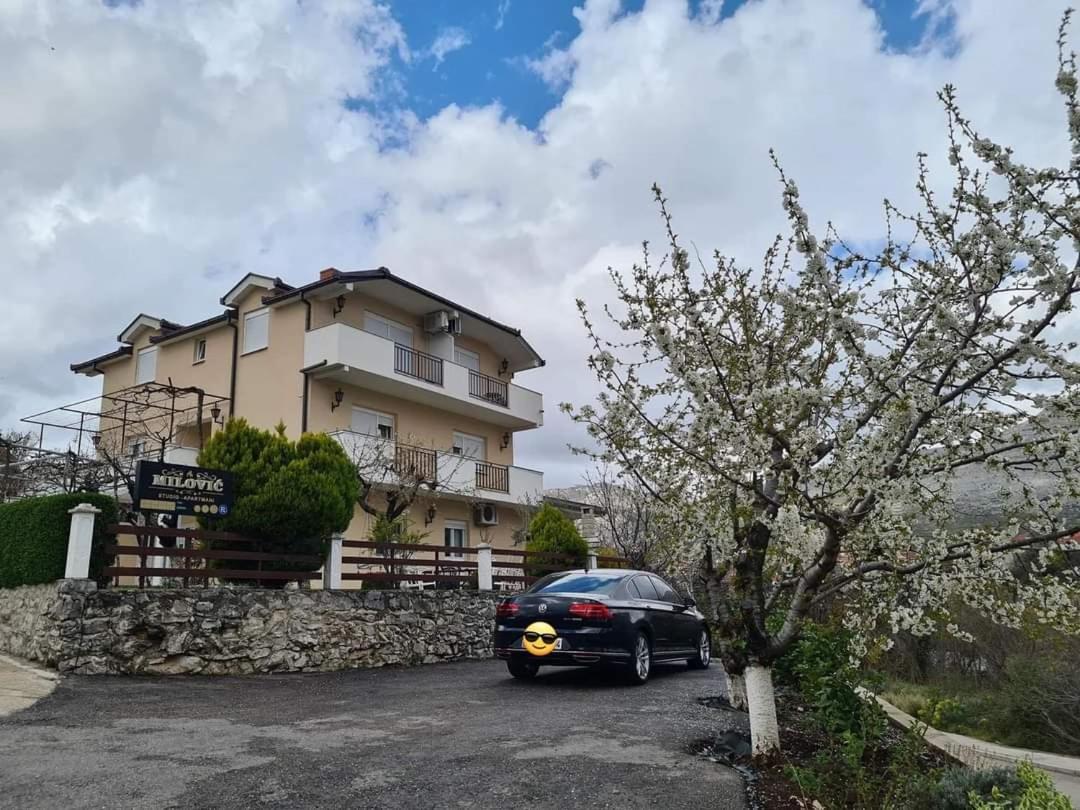 Milovic Trebinje