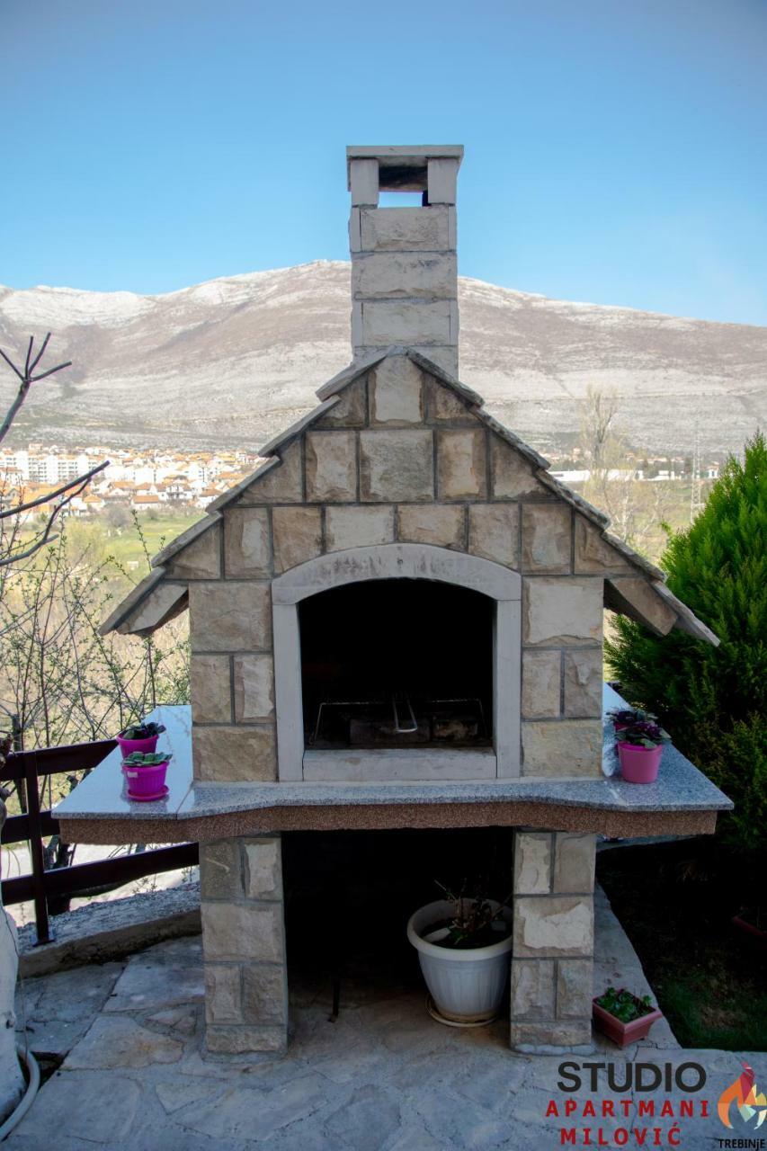 Apartment Milovic